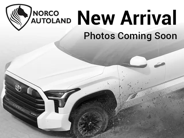 New arrival - photos coming soon